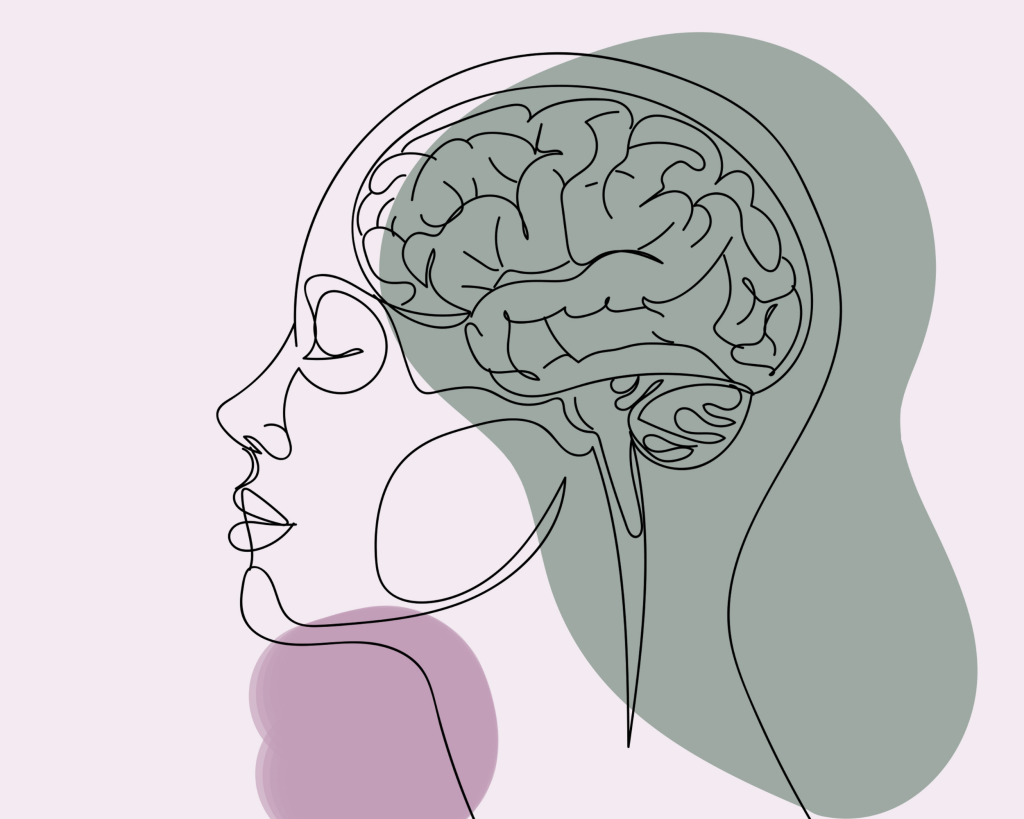 Illustration eines menschlichen Kopfes mit sichtbarem Gehirn, das mentale Belastung und einen erhöhten Cortisolspiegel durch Stress im Alltag darstellt